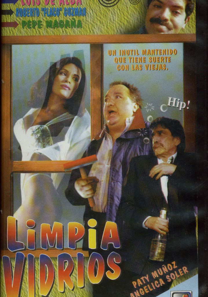 El limpiavidrios