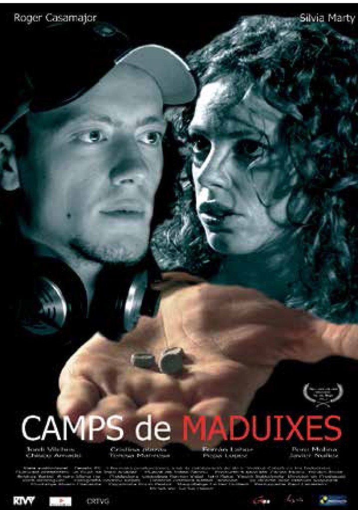 Camps de maduixes