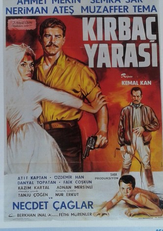 Kirbaç yarasi