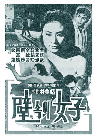 A Woman in the Wall