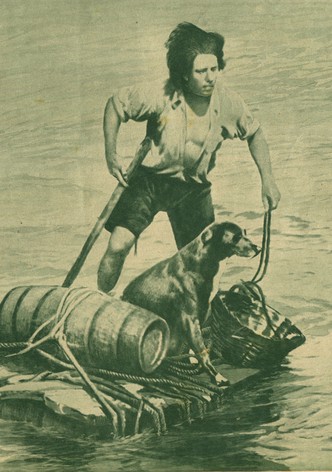 Les Aventures de Robinson Crusoé