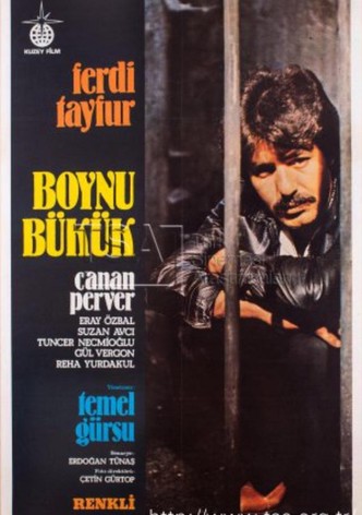 Boynu Bükük
