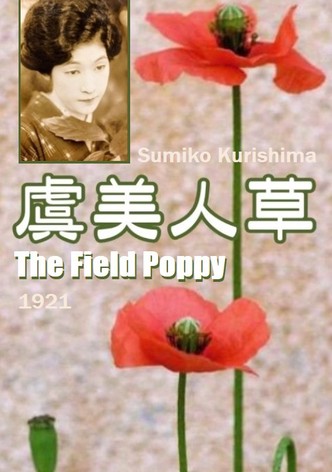 The Field Poppy