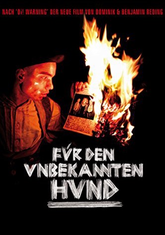 Für den unbekannten Hund