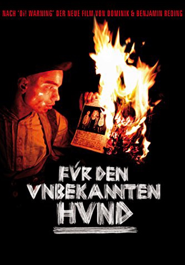 Für den unbekannten Hund