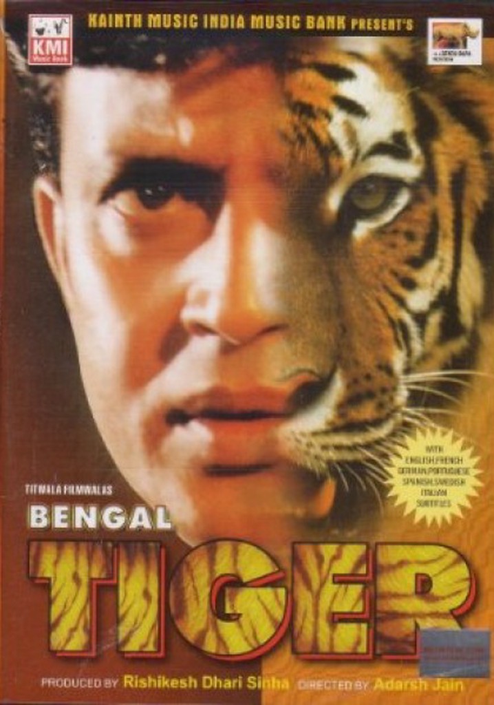 Bengal Kaplanı / Bengal tiger