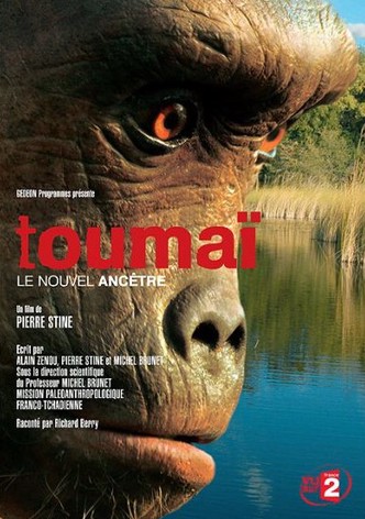 Toumai: The Oldest Human Ancestor