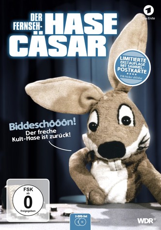 Der Hase Cäsar