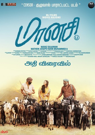 Maanasi