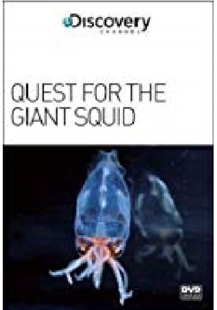 Quest for the Giant Squid