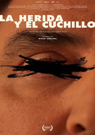 La herida y el cuchillo (Notas para un film sobre Emilio García Wehbi)