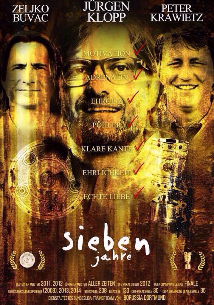 Deutscher Fussball Bund Pokal 2015 Final