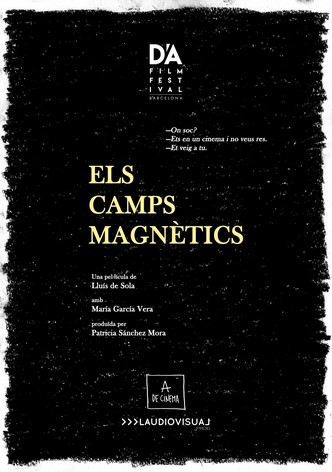 Els camps magnètics