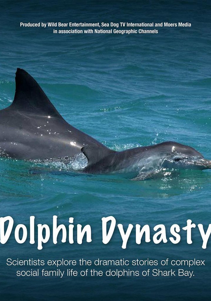Dolphin Dynasty