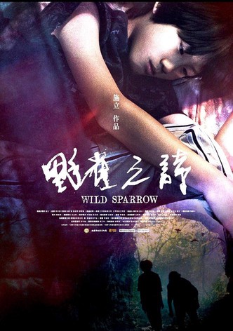 Wild Sparrow