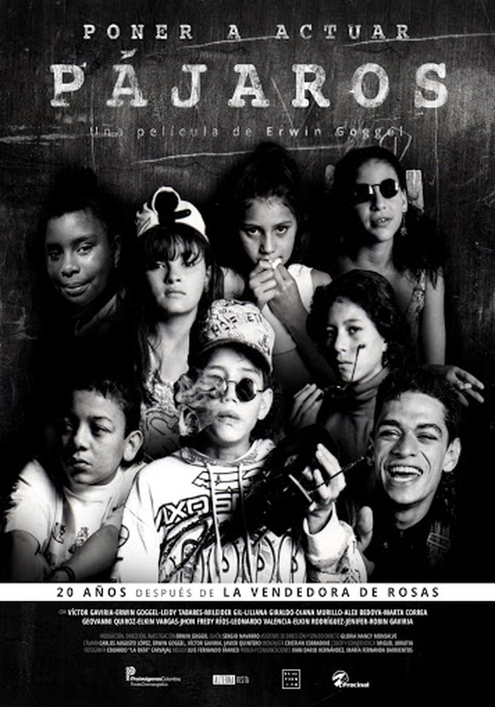 Poner a actuar pájaros