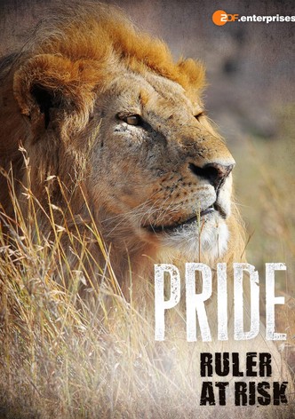 Lvi: Skutečný život velkých koček