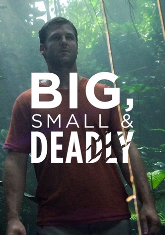 Big, Small & Deadly