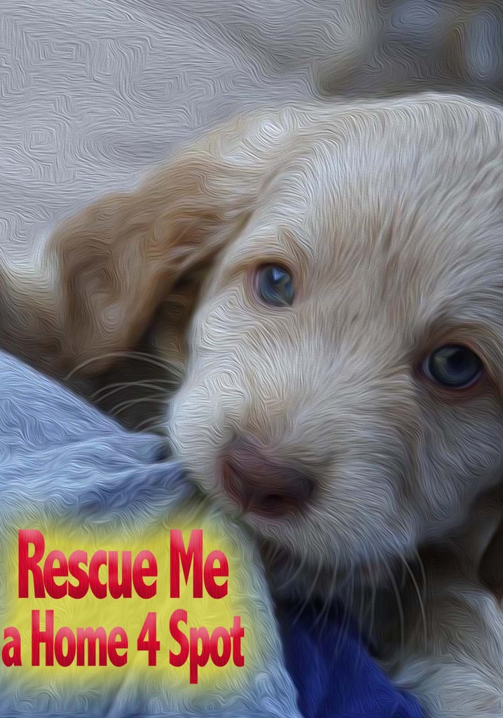 Rescue Me: A Home 4 Spot