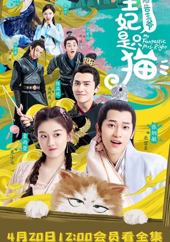 Meine fantastische Mrs. Right