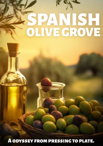 Spanish Olive Grove