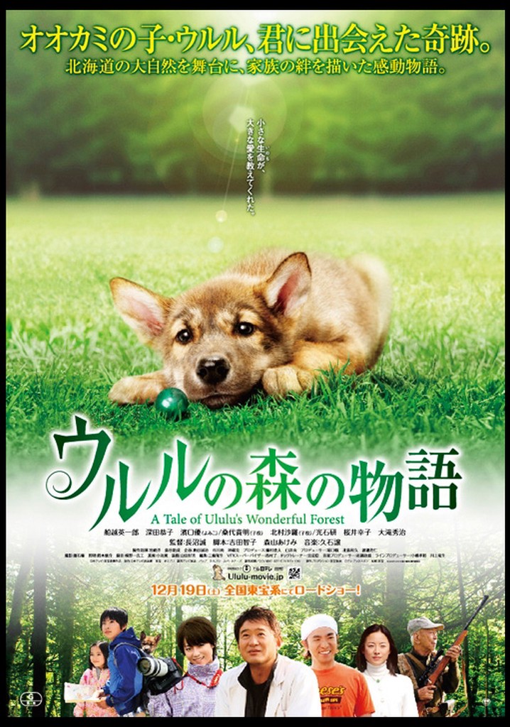 A Tale of Ululu's Wonderful Forest