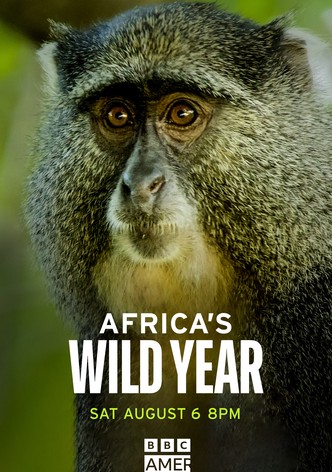 Africa's Wild Year