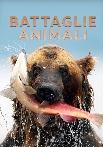 Battaglie animali