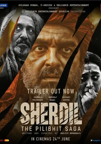 Sherdil poster