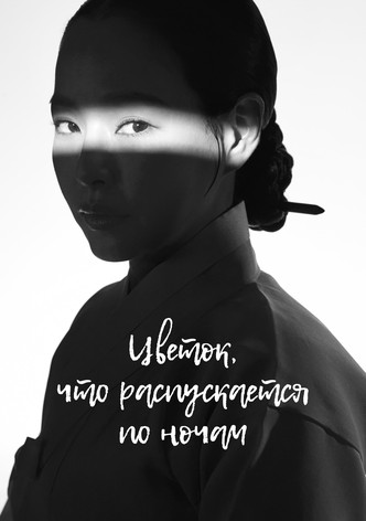 Цветок, что распускается по ночам