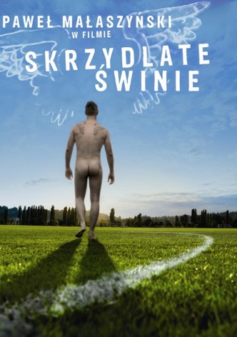 Skrzydlate swinie