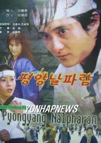 Pyongyang Nalpharam