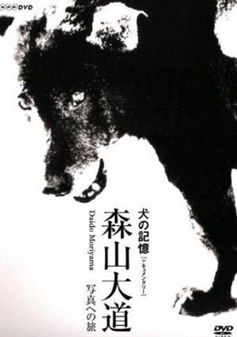 Memories of a Dog: Daido Moriyama's Journey to Photography