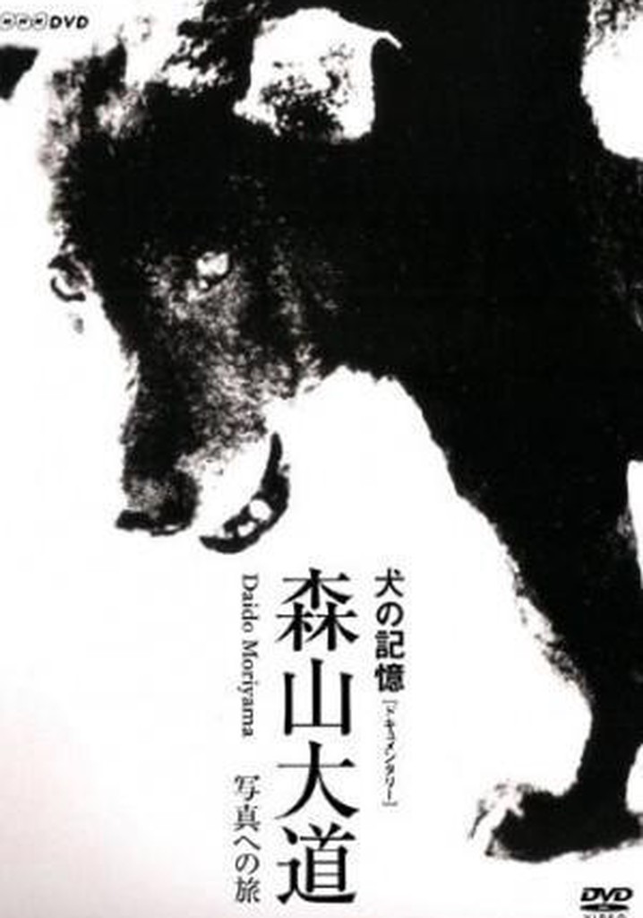 Memories of a Dog: Daido Moriyama's Journey to Photography