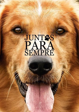 Juntos Para Sempre