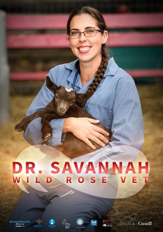 Dr. Savannah: Wild Rose Vet