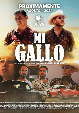 Mi Gallo