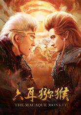 The Macaque Monkey
