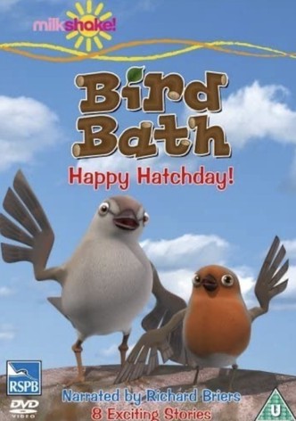 Bird Bath
