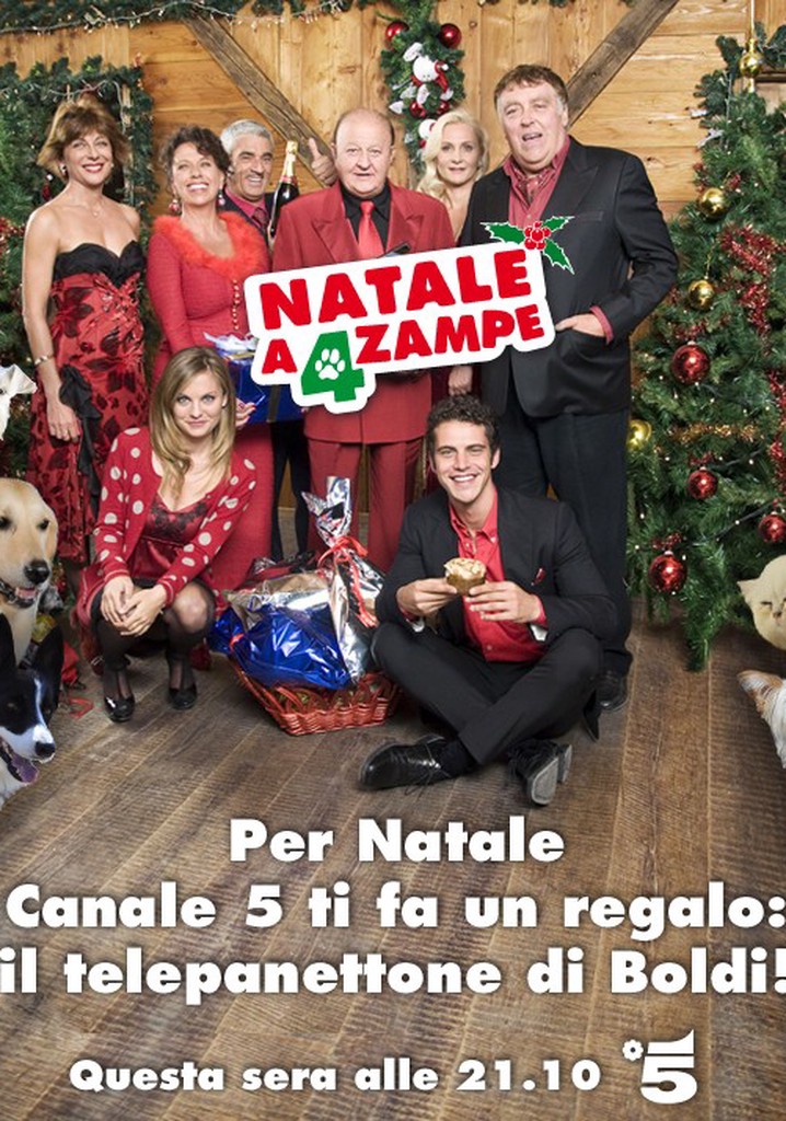 Dogs Five-Star Hotel