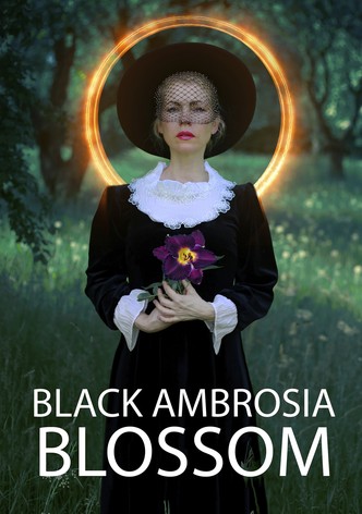 Black Ambrosija Blossom