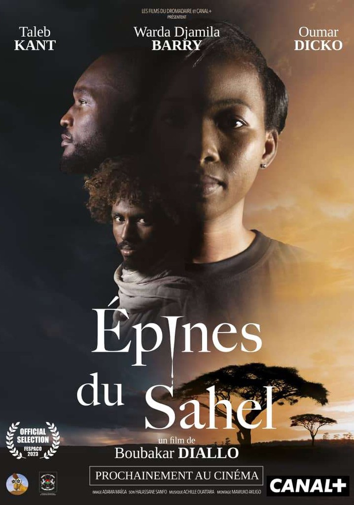 Épines du Sahel