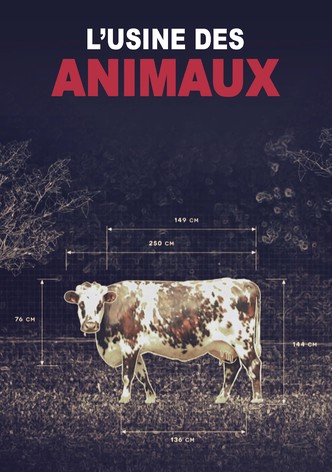 The Cost of Meat