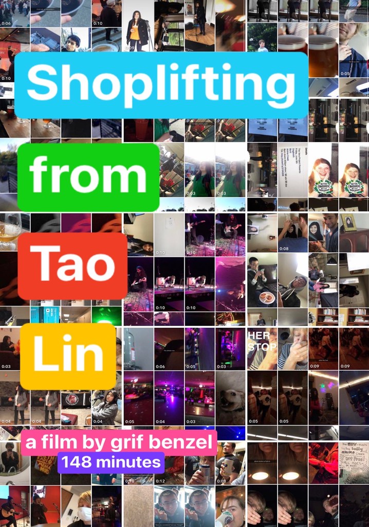 Shoplifting from Tao Lin