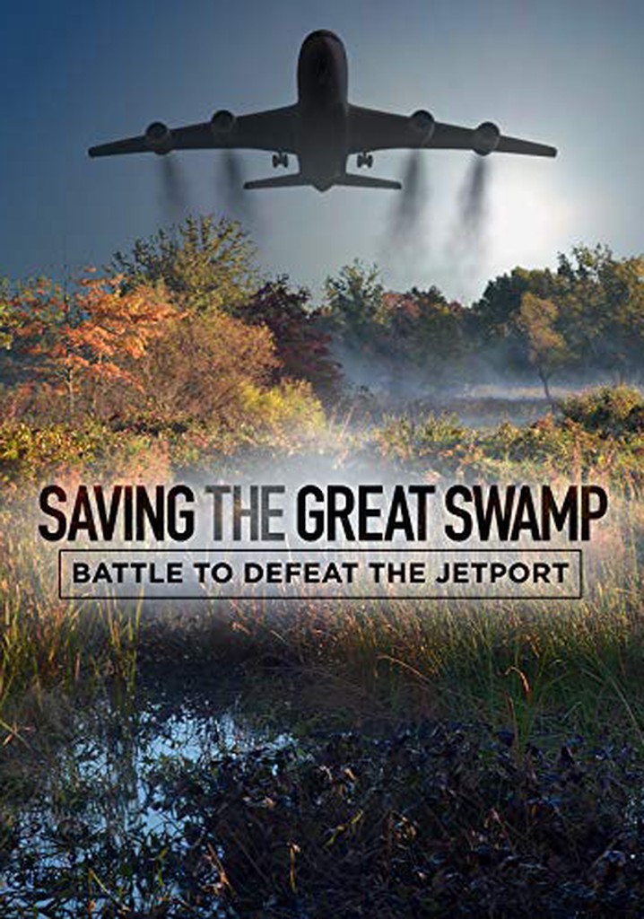 Saving the Great Swamp: Battle to Defeat the Jetport