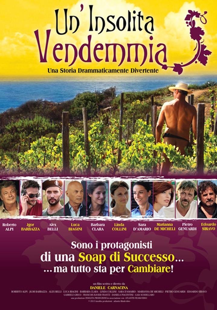 Un'insolita vendemmia