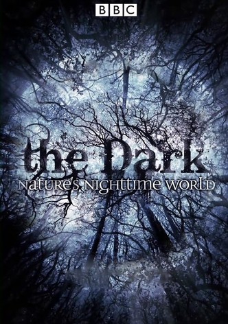 The Dark: Nature's Nighttime World