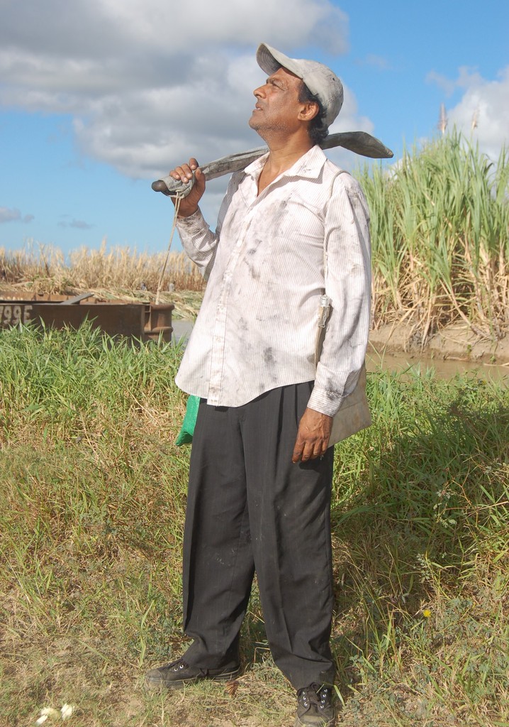 Brown Sugar Too Bitter for Me