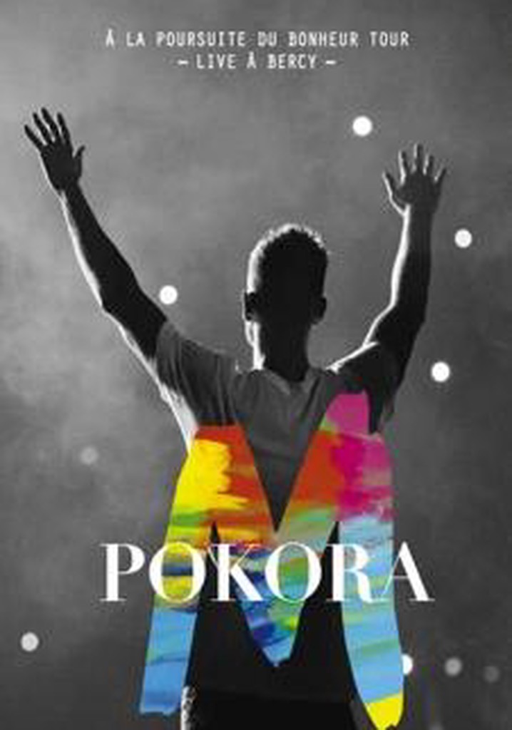 À La Poursuite Du Bonheur Tour - Live à Bercy