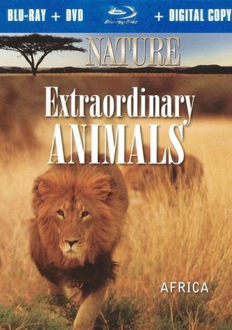 Extraordinary Animals